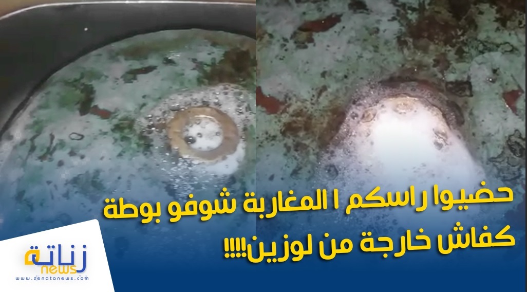 حضيوا راسكم ا المغاربة شوفو بوطة كفاش خارجة من لوزين!!!!
