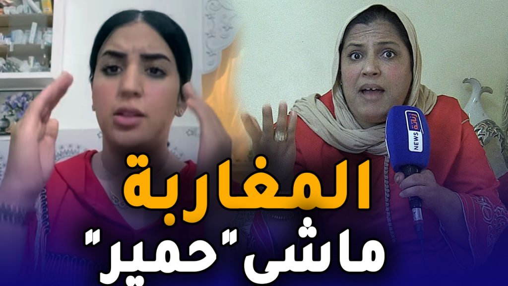 اقوى رد على ندى حاسي مغاربة ماشي” حمير”