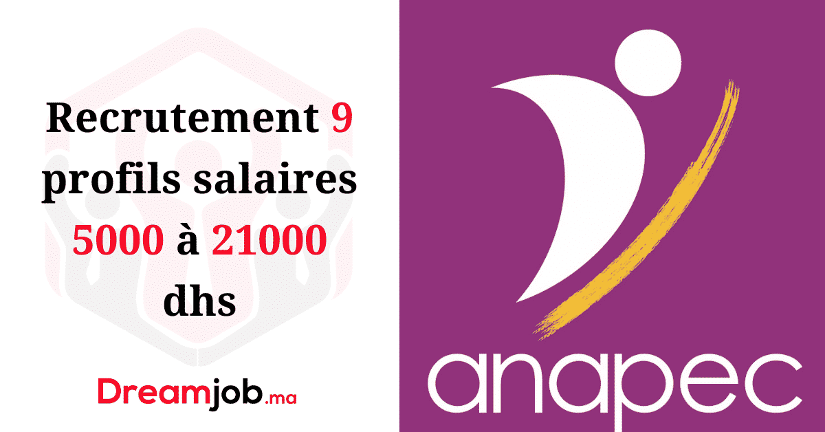 التوظيف 9 ملفات تعريف الرواتب 5000 إلى 21000 درهم