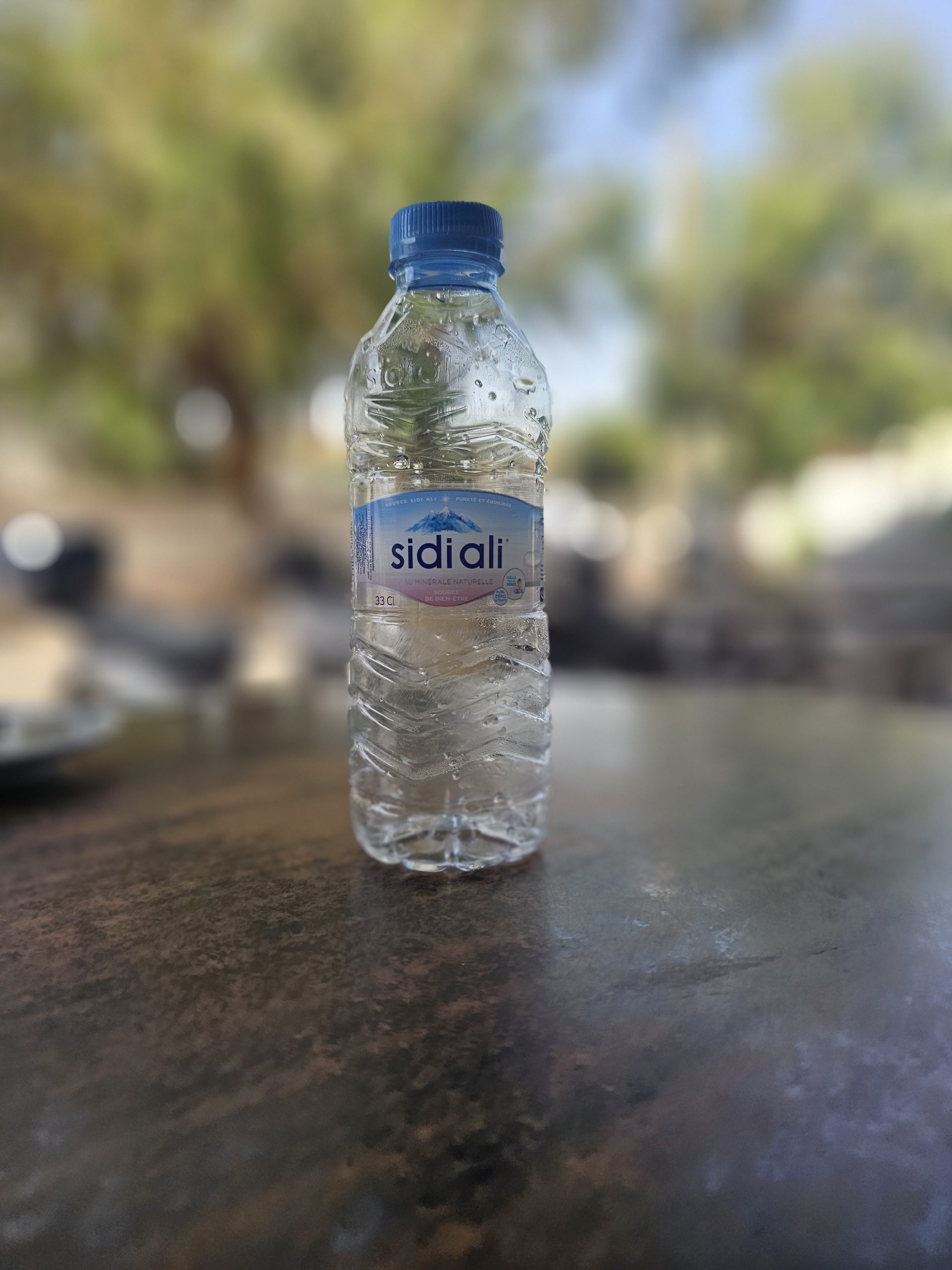 سر مذاق “سيدي علي”: منبع النقاء وجاذبية الطبيعة