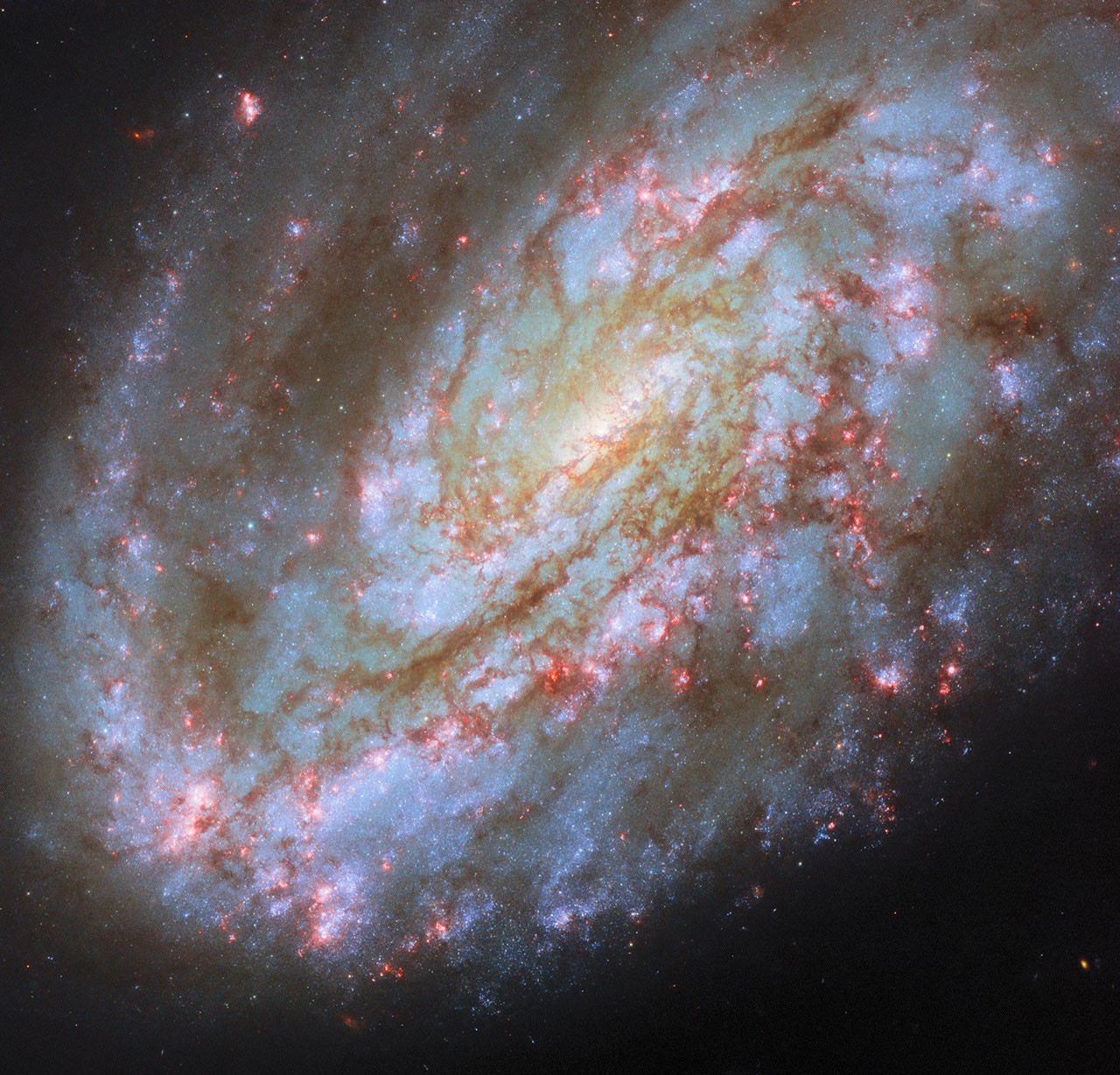 صورة تلسكوب هابل لمجرة NGC 4654 الحلزونية غير المتماثلة في كوكبة العذراء