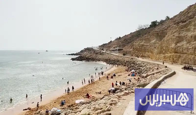 خطر رأس الأفعى في آسفي.. طبيعة صارخة وإهمال رسمي